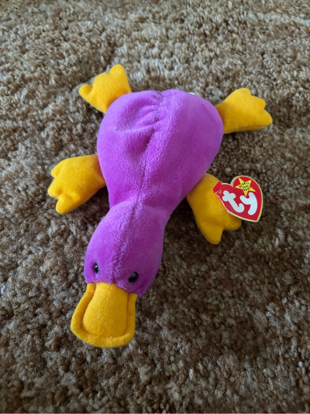 Ty Beanie Baby Patti the platypus